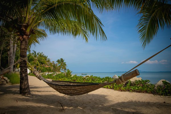 Quelles précautions prendre lors d'un voyage en pleine nature en Sibérie ?