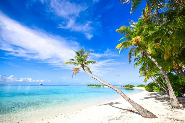 Comment se préparer aux différences culturelles lorsque vous louez à l'étranger ?